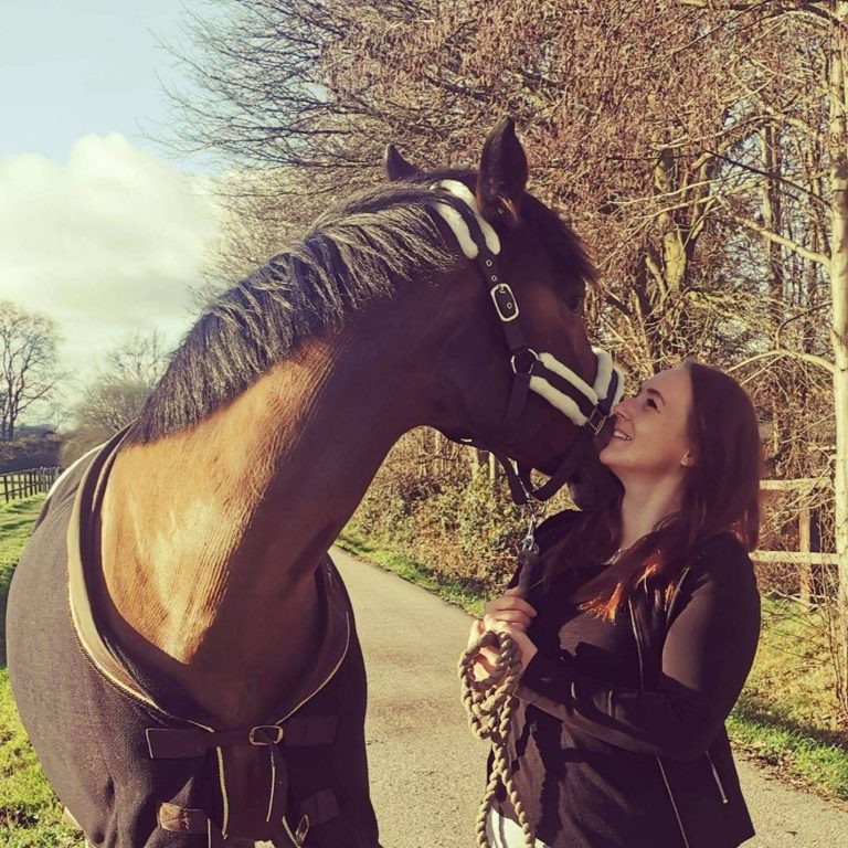 Balou streckt Zunge raus Pferd streckt Zunge raus