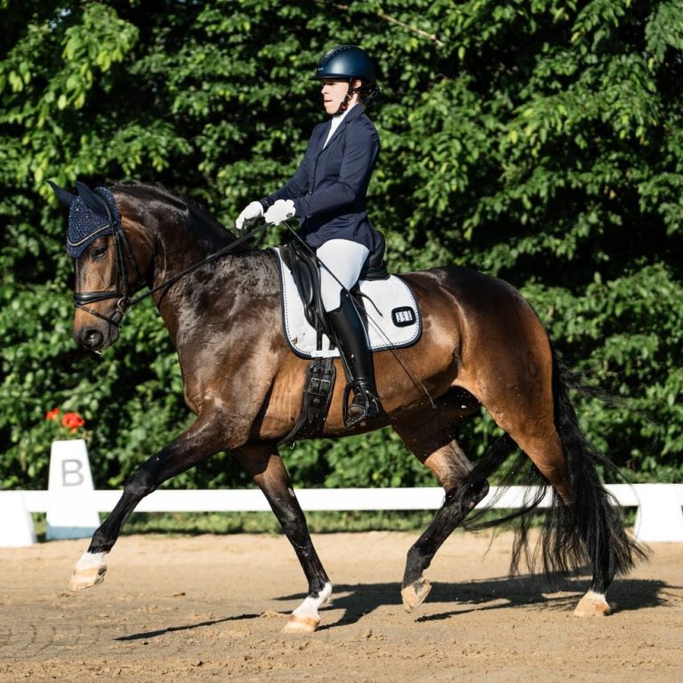 Ramina glücklich galoppierendes, glückliches Pferd